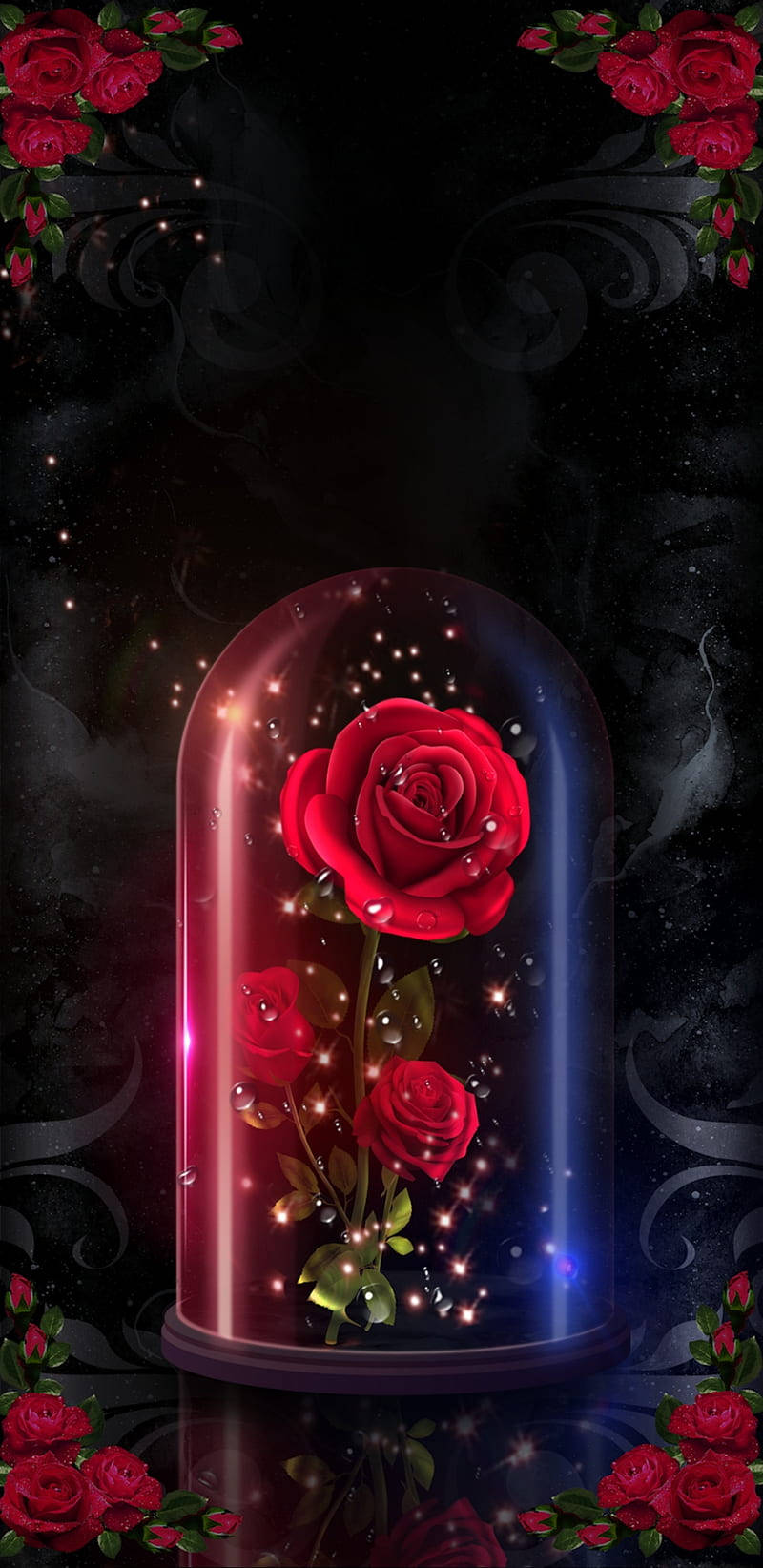 Romantic Rose 桌布 壁紙 — 一朵發光的紅玫瑰在玻璃罩內，周圍環繞著閃爍的燈光，並以深色華麗的漩渦和紅玫瑰作為框架。