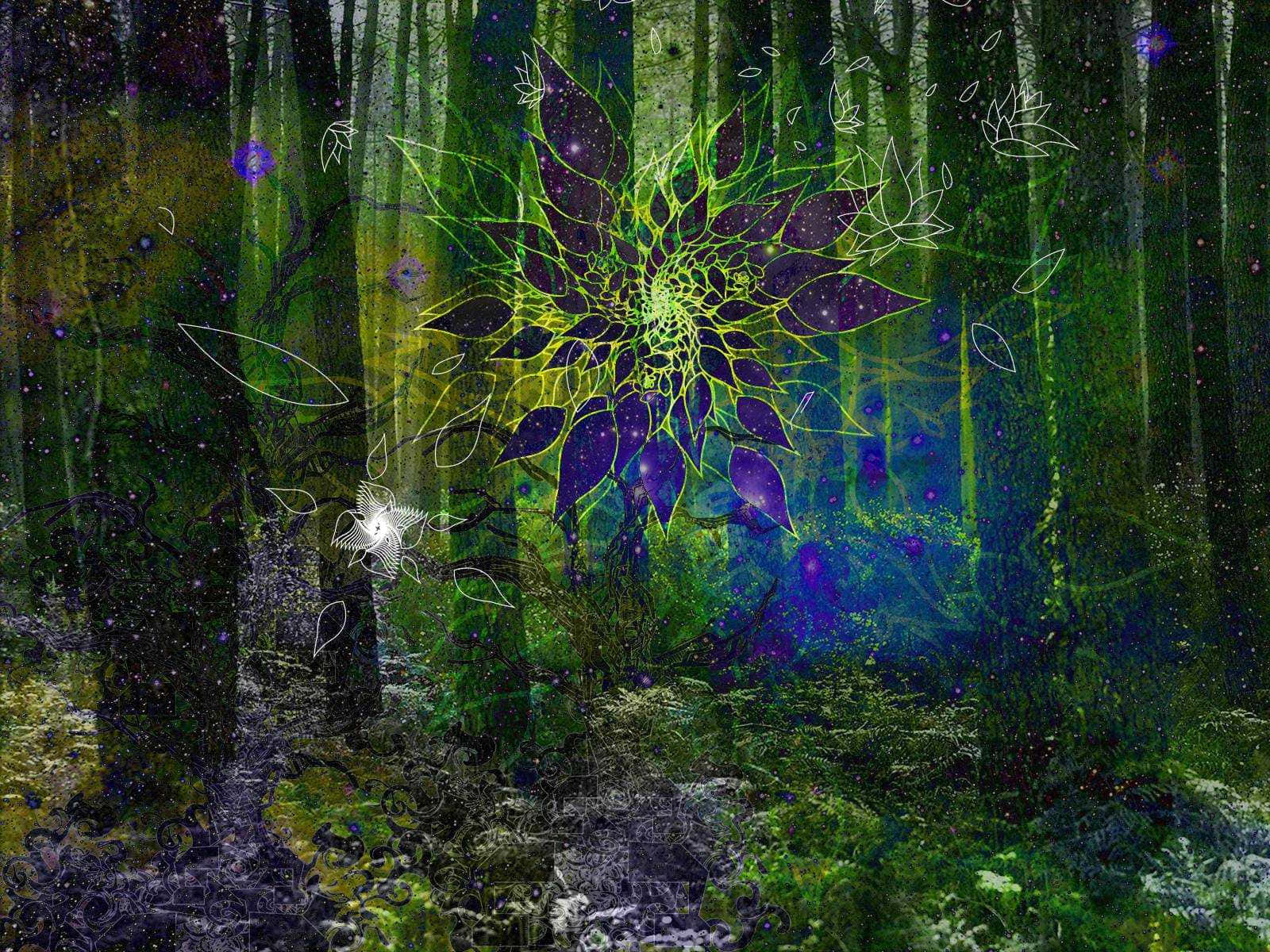 魔法森林 桌布 壁紙 — 一朵發光的紫色和綠色碎形花在神秘的森林中綻放，周圍有漂浮的葉子和宇宙粒子。