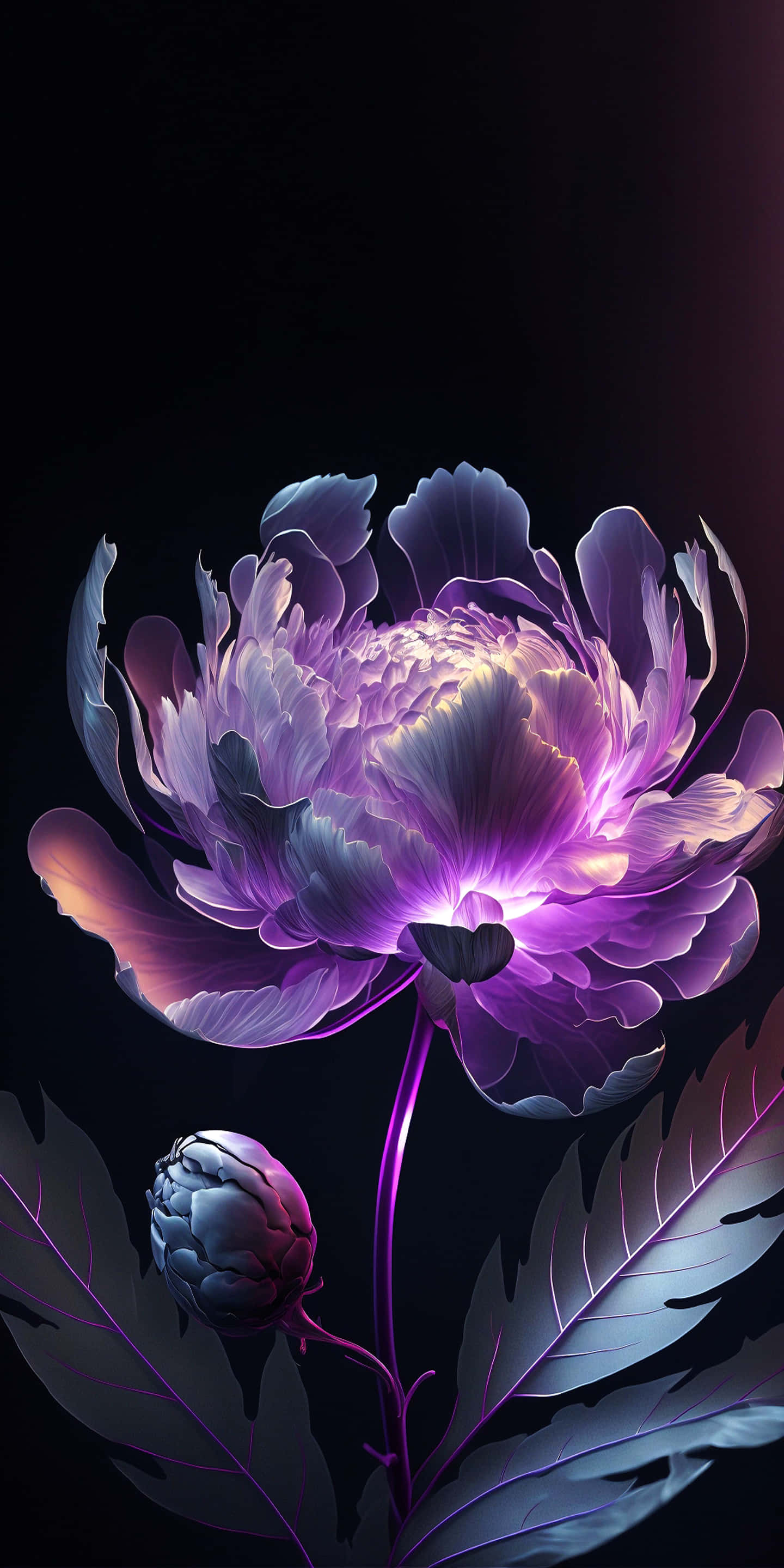 iPhone Flowers 桌布 壁紙 — 一朵發光的紫色牡丹在深色背景上綻放，內部花瓣發光，下方有一個花蕾。
