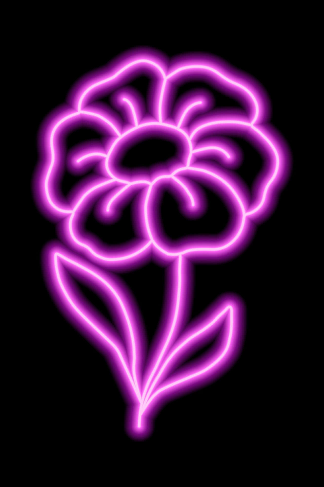 Neon Pink 桌布 壁紙 — 一朵發光的紫色霓虹花，帶有莖和葉，在純黑色背景上明亮地閃耀。