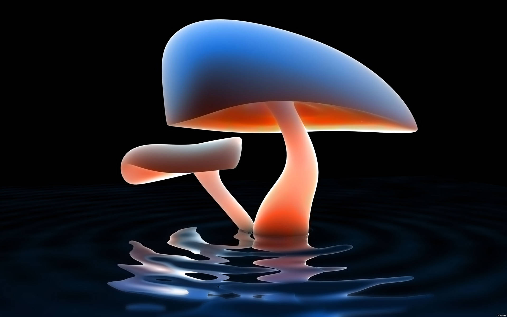 Cute Mushroom 桌布 壁紙 — 一朵發光的藍橙色蘑菇從暗水中升起，在戲劇性燈光下產生漣漪。