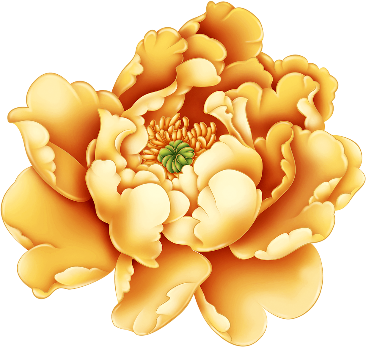 Peony 桌布 壁紙 — 一朵盛開的金色牡丹，花瓣層層疊疊，花心綠色，襯以黑色背景。