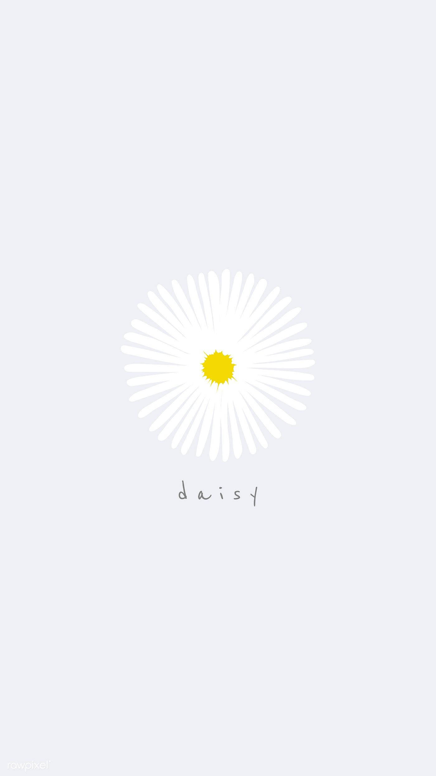 Daisy 桌布 壁紙 — 一朵簡約的雛菊，白色花瓣和黃色花心，漂浮在柔和的灰色背景上，下方有「daisy」字樣。
