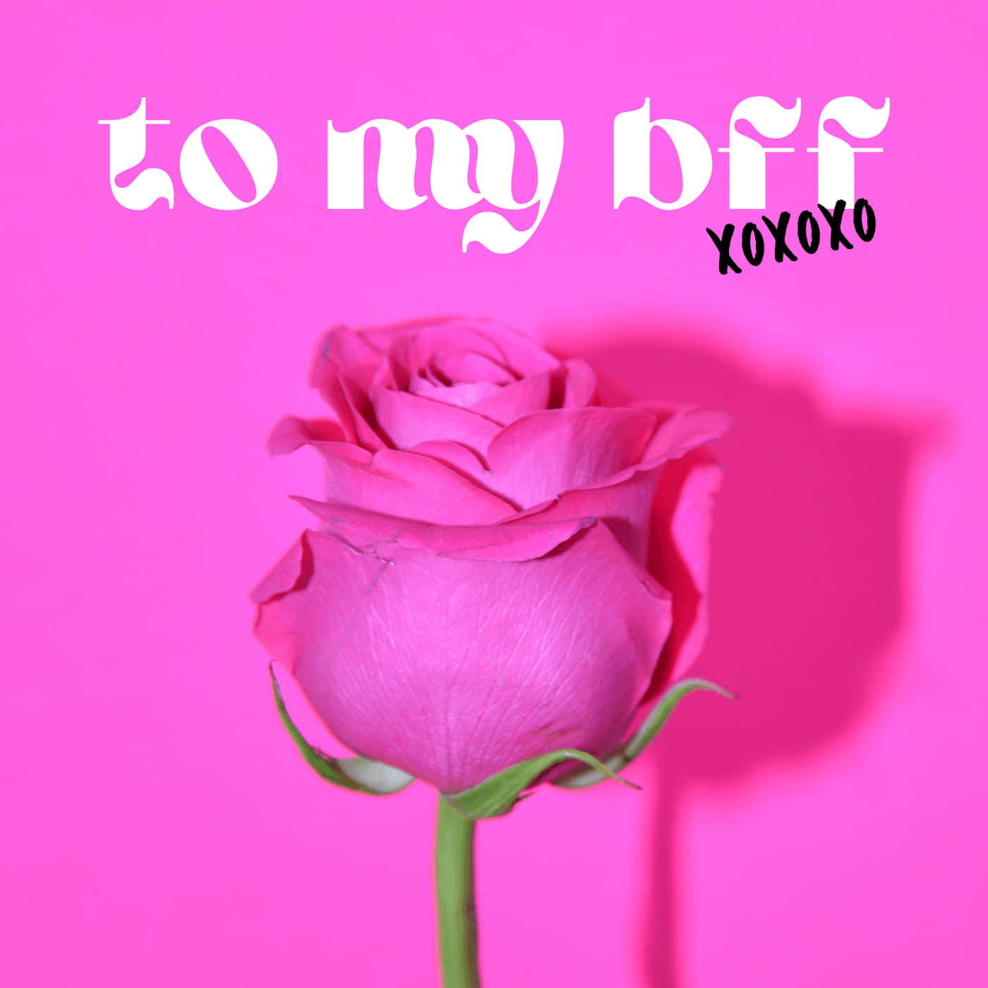Pink Rose 桌布 壁紙 — 一朵粉紅玫瑰在充滿活力的粉紅背景上綻放，白色文字寫著給我最好的朋友 xoxoxo。