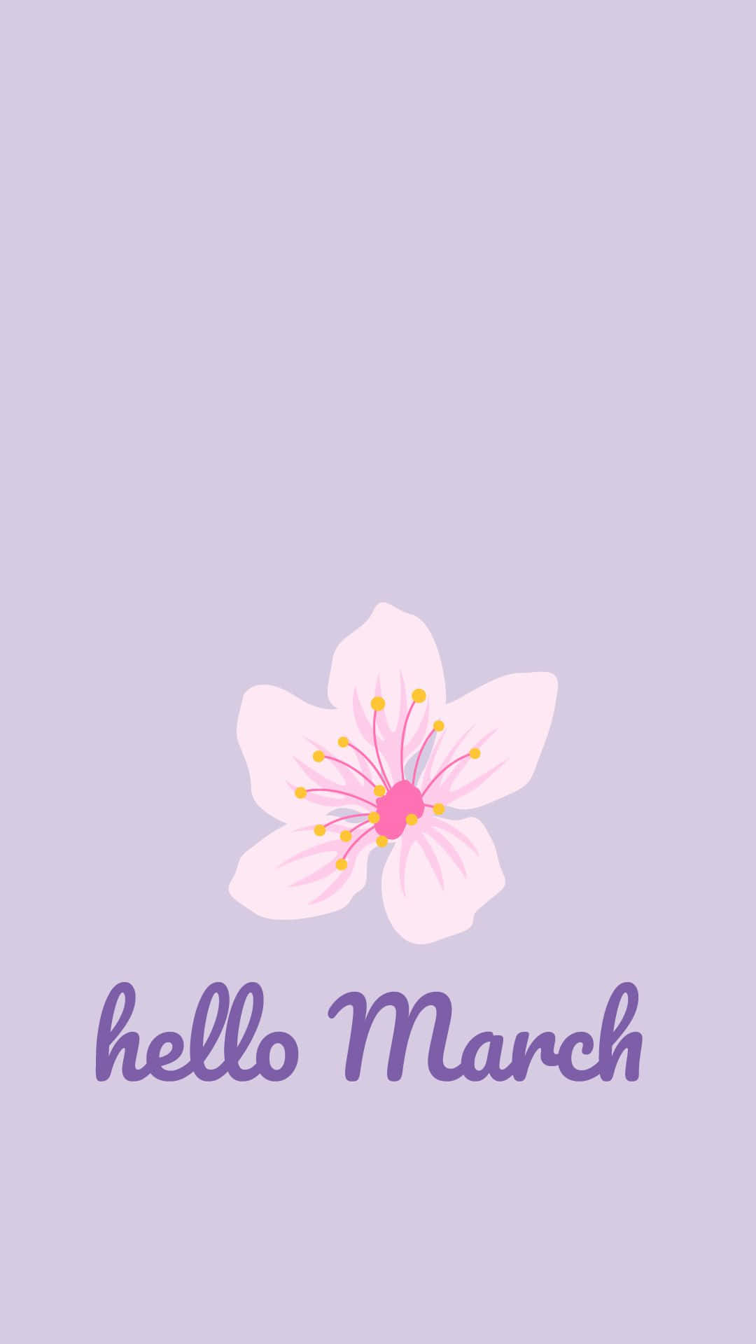 Hello March 桌布 壁紙 — 一朵粉紅色的櫻花帶有黃色雄蕊，漂浮在柔和薰衣草背景上的「你好三月」文字上方。