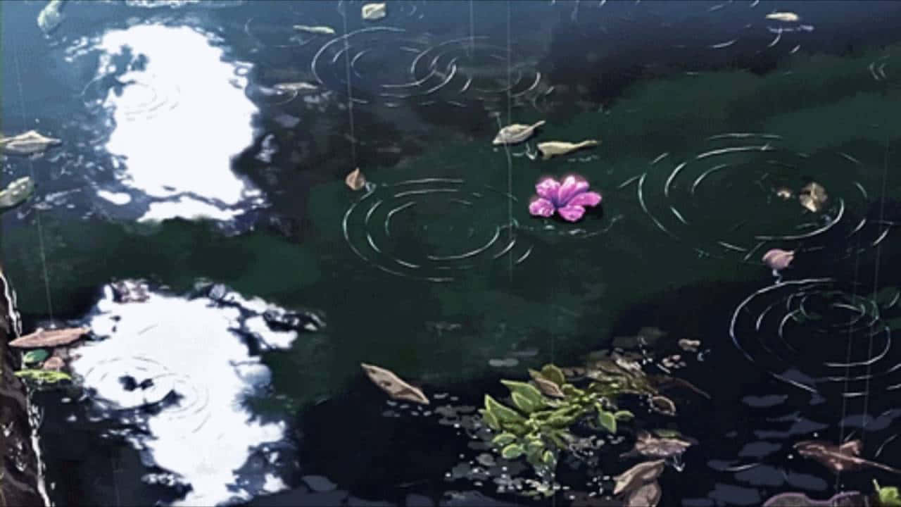 桌布 壁紙 — 一朵粉紅色的花漂浮在深色水面上，雨滴在周圍泛起漣漪，附近有樹葉漂流。