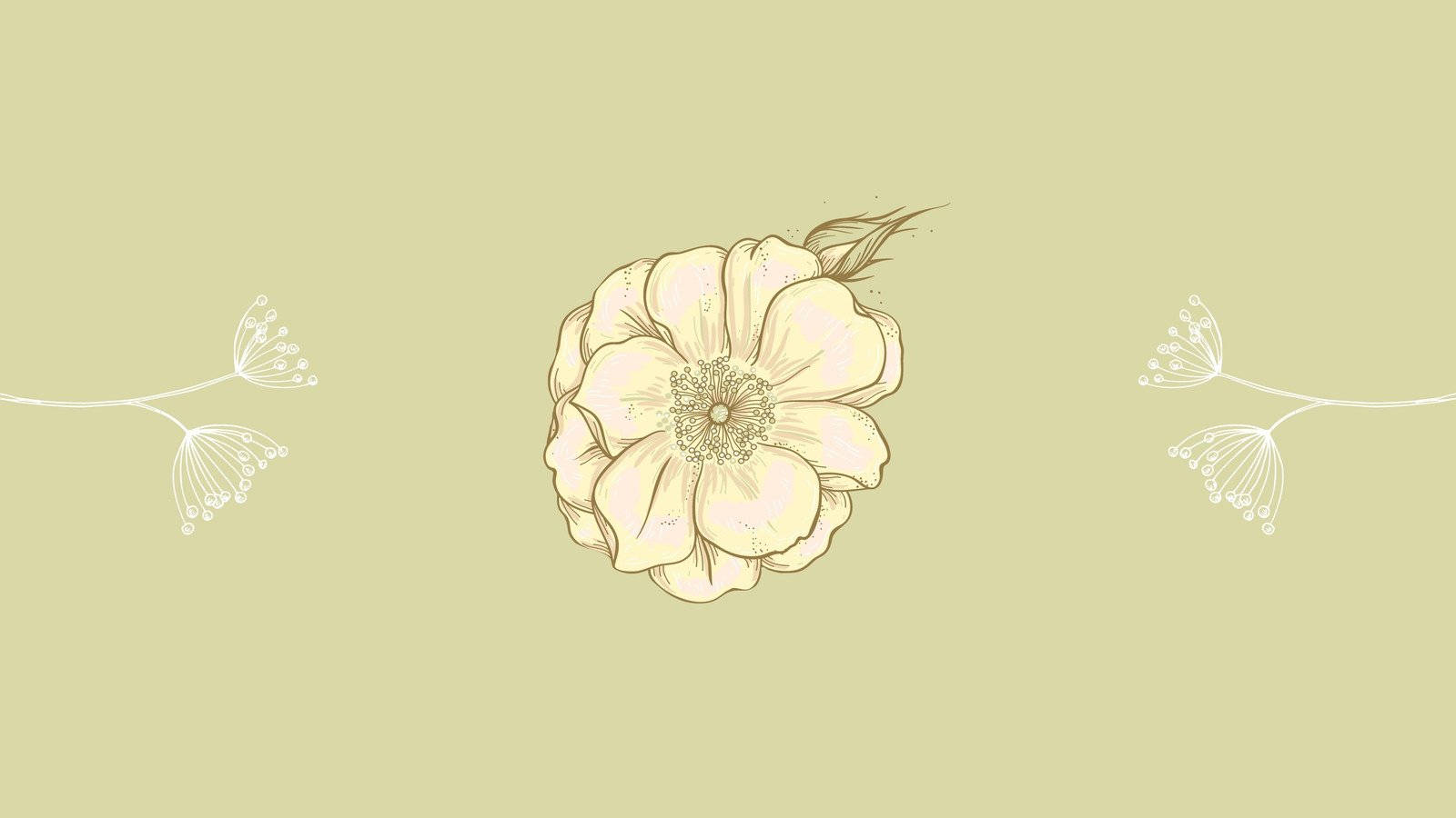 Minimalist Flower Computer 桌布 壁紙 — 一朵精緻的奶油色花朵，帶有細緻的線條細節，位於柔和的橄欖色背景中央，兩側是簡約的白色植物素描。