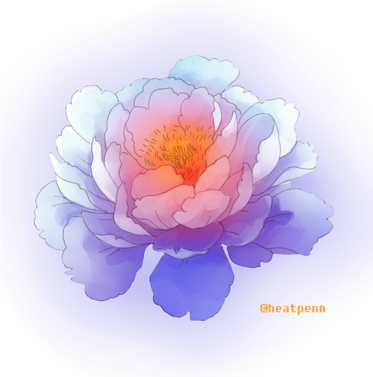 Peony 桌布 壁紙 — 一朵精緻的水彩牡丹，帶有柔和的粉紅色和白色花瓣，在旋轉的深藍色抽象背景上散發溫暖。