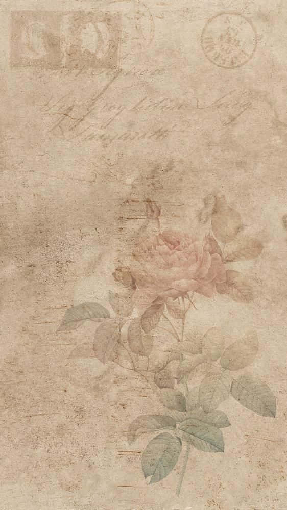 Vintage Rose 桌布 壁紙 — 一朵精緻的水彩玫瑰在帶有褪色郵票和手寫草書的舊羊皮紙上盛開。