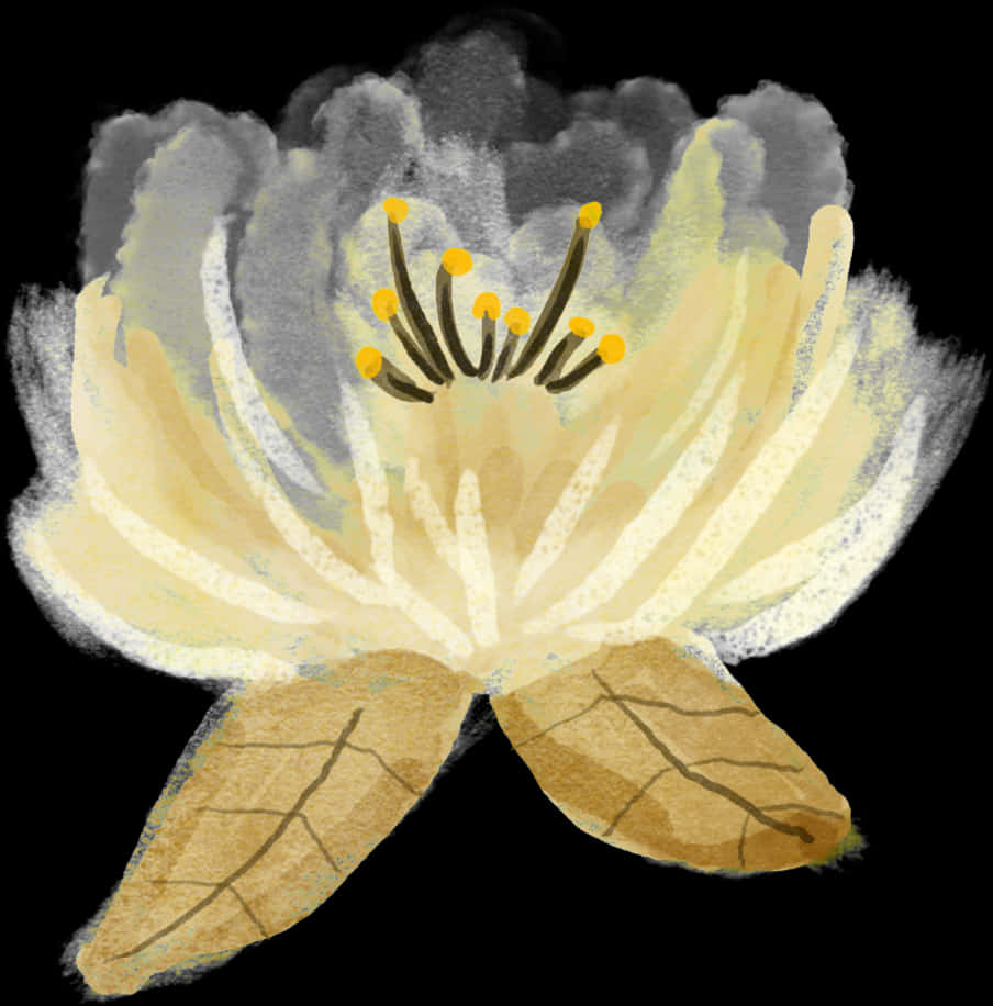 Lily Flower 桌布 壁紙 — 一朵精緻的水彩蓮花，帶有淡黃色花瓣和深色雄蕊，在純黑背景上盛開。