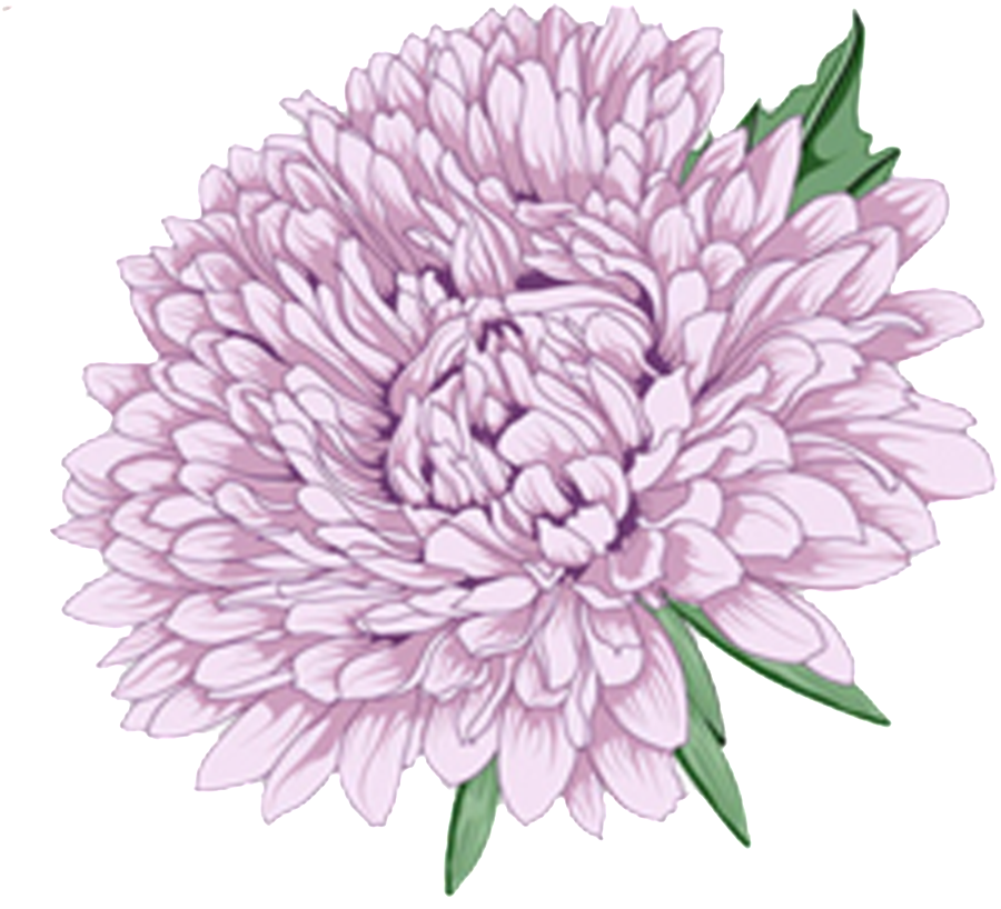 Peony 桌布 壁紙 — 一朵精緻的淺紫色牡丹，花瓣層層疊疊，綠葉襯托在純黑背景上。