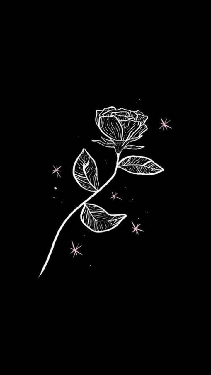 Rose Aesthetic 桌布 壁紙 — 一朵精緻的白色線條玫瑰，帶有葉子和閃爍的星星，在純黑色背景上。