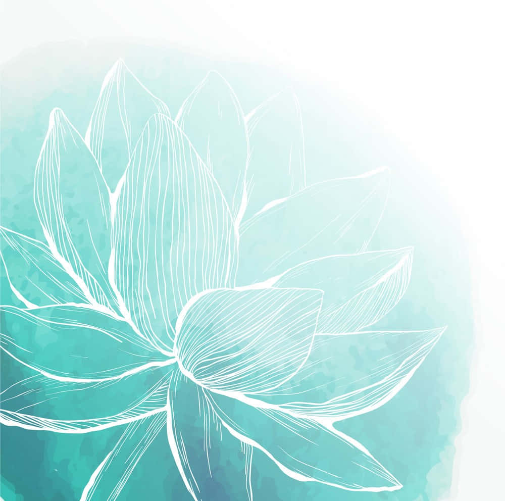 lotus 桌布 壁紙 — 一朵精緻的白色線條蓮花在柔和的青綠色水彩漸變背景上綻放。