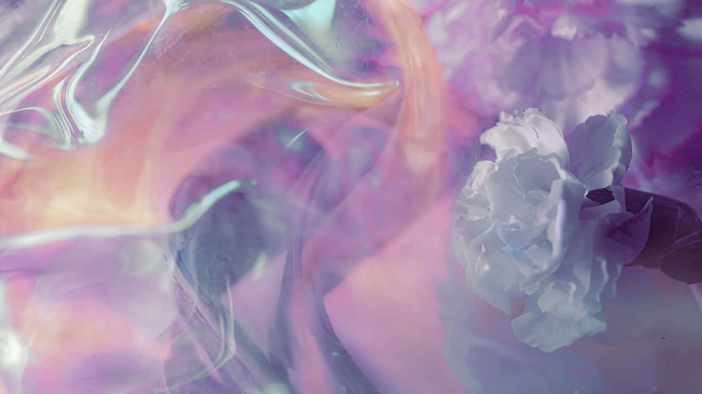 1366x768 桌布 壁紙 — 一朵精緻的白花漂浮在帶有虹彩高光的旋轉半透明粉紅色和紫色液體中。