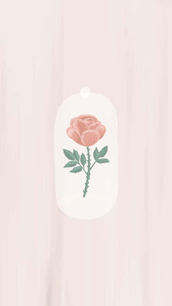 Simple Flower 桌布 壁紙 — 一朵精緻的粉紅玫瑰，帶有綠葉，放在白色玻璃罩內，背景是柔和的粉紅木質表面。