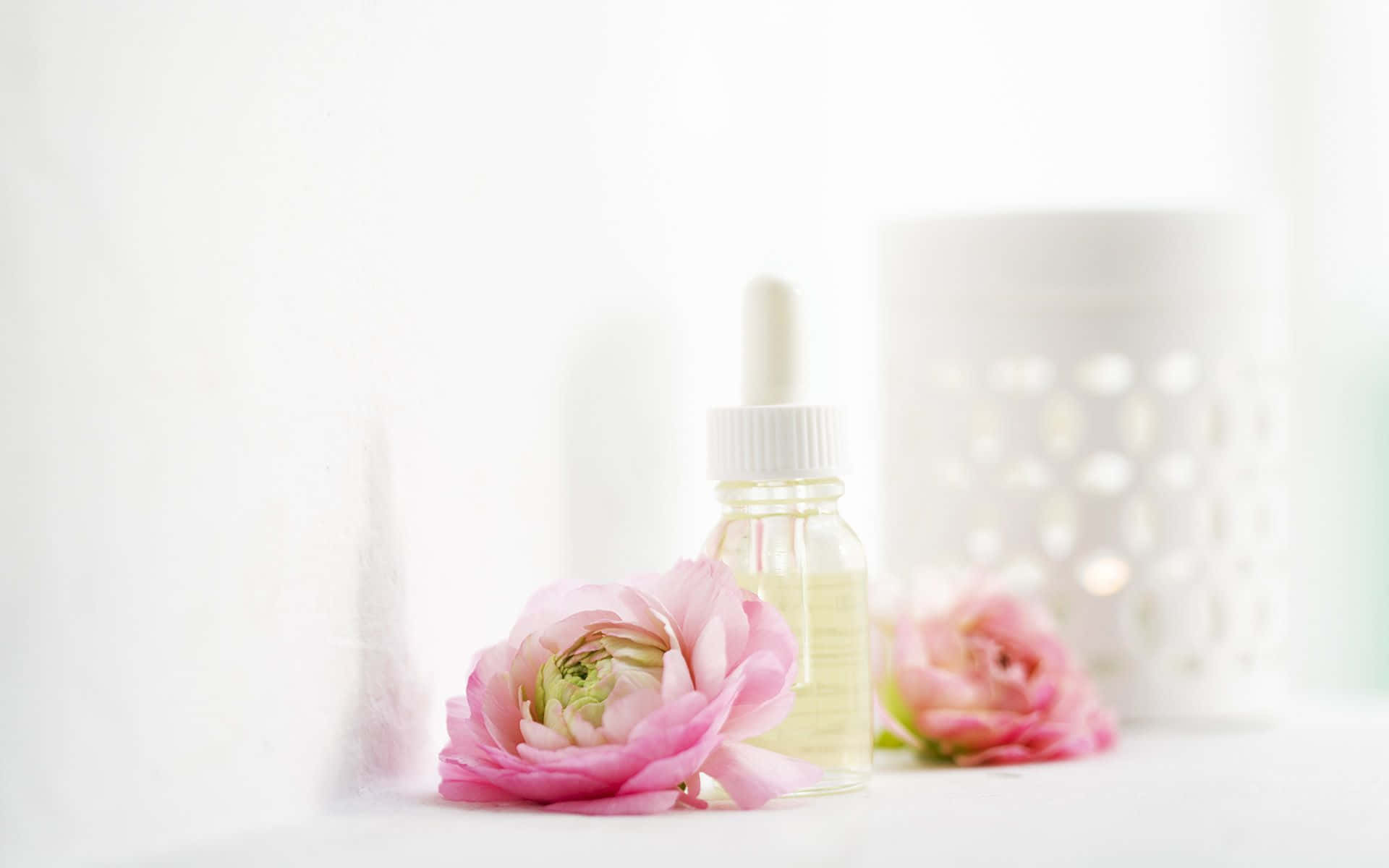 Floral Fragrance 桌布 壁紙 — 一朵精緻的粉紅色毛茛花放在一個玻璃滴管瓶的旁邊，瓶內裝有精油，置於明亮的白色表面上。