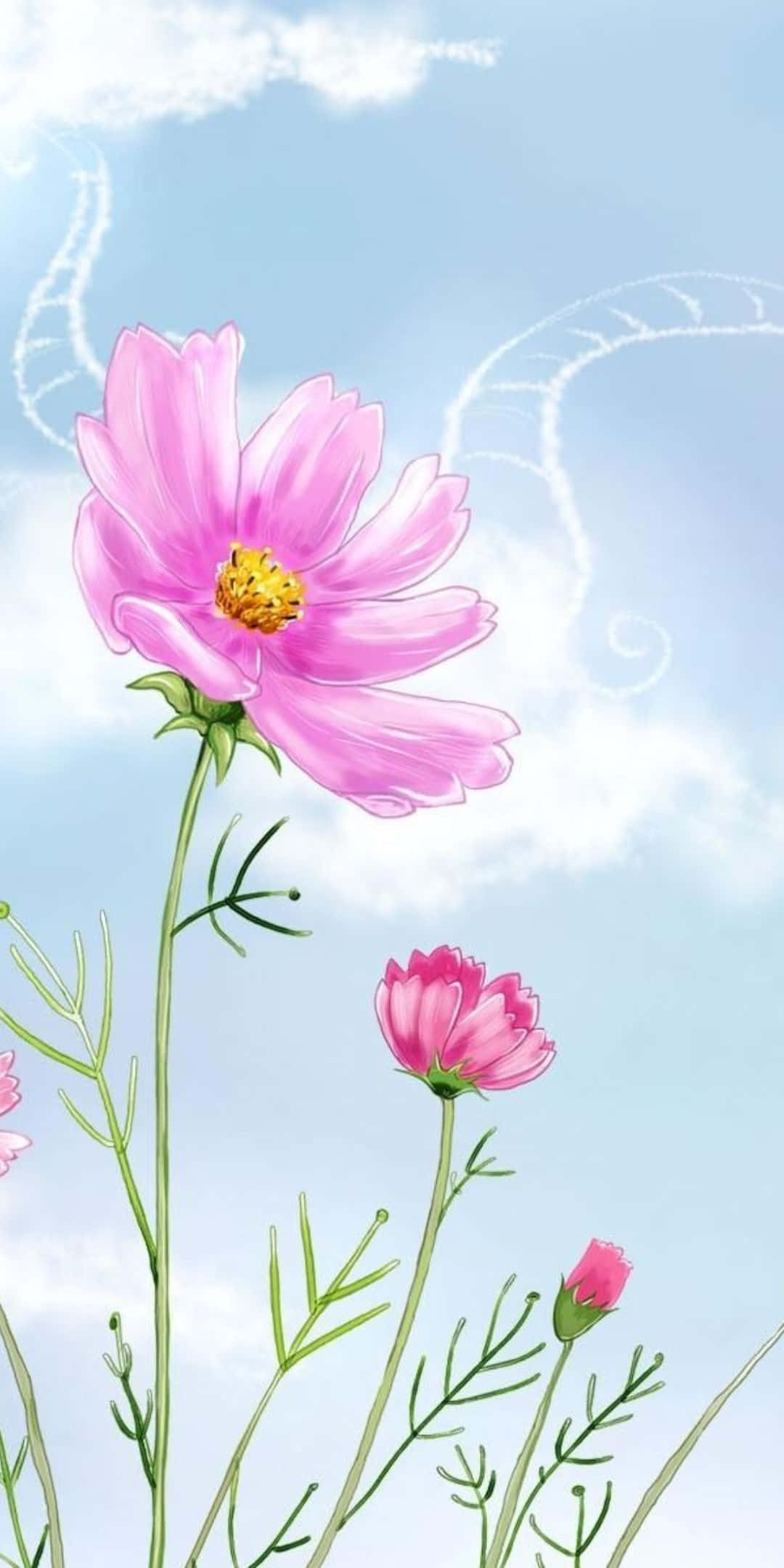 Pixel 3 Spring 桌布 壁紙 — 一朵精緻的粉紅色波斯菊在柔和的藍天中綻放，伴隨著縷縷雲彩和微妙的漩渦。