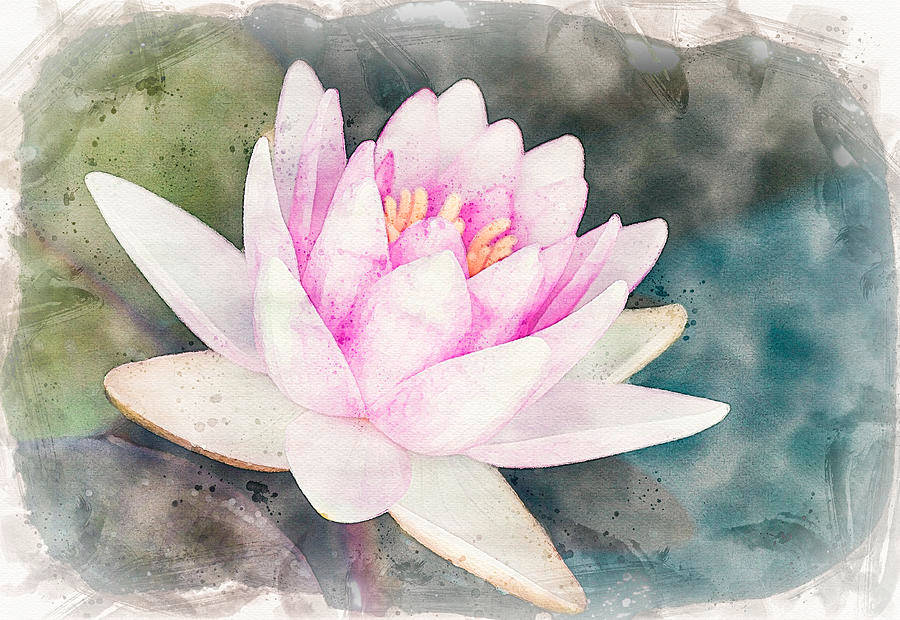Water Lily 桌布 壁紙 — 一朵精緻的粉紅色睡蓮在帶有柔和綠色和藍色色調的紋理水彩池塘上優雅地綻放。