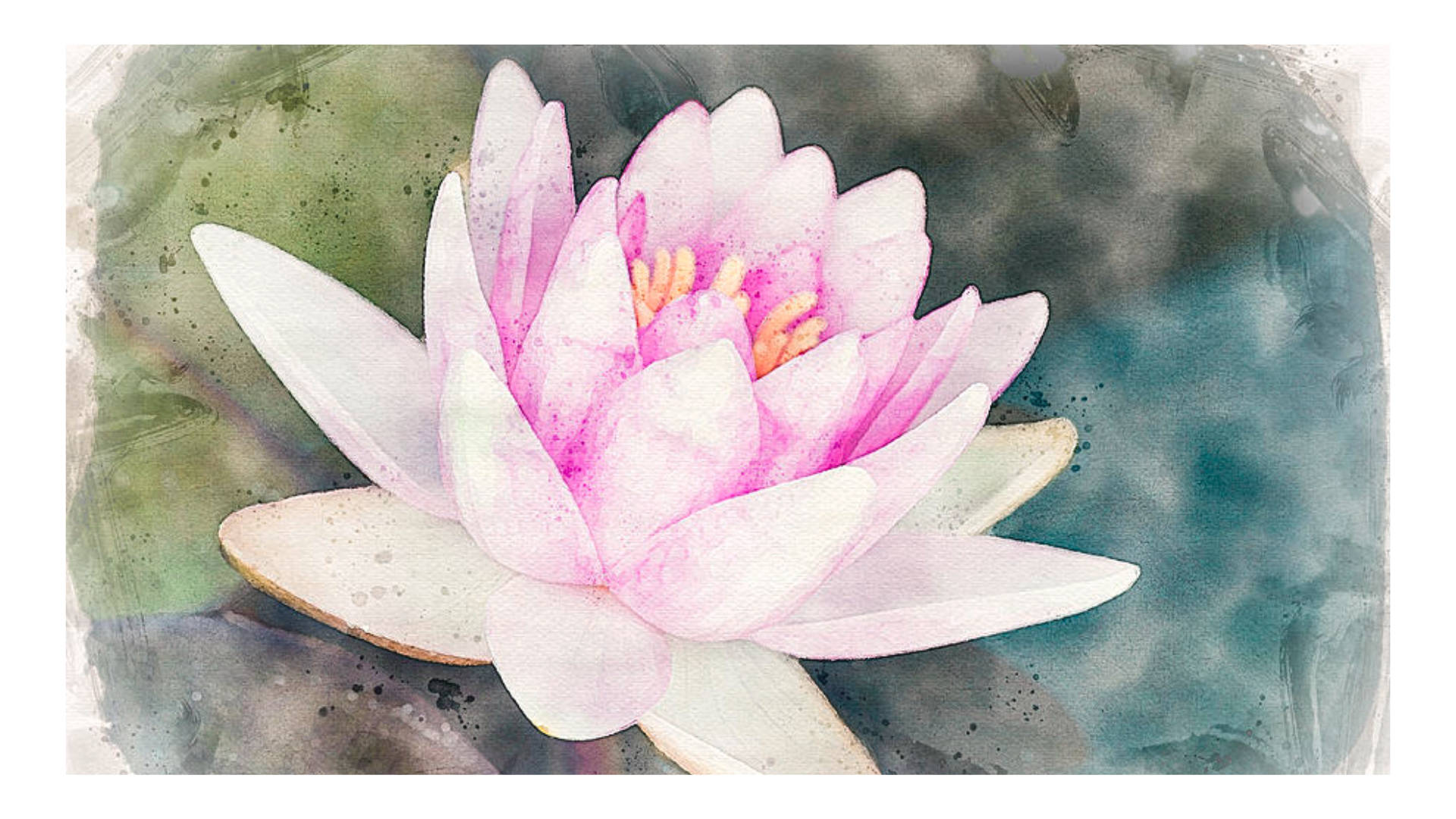 lily 桌布 壁紙 — 一朵精緻的粉紅色睡蓮在帶有柔和綠色和藍色色調的紋理水彩背景上優雅地綻放。