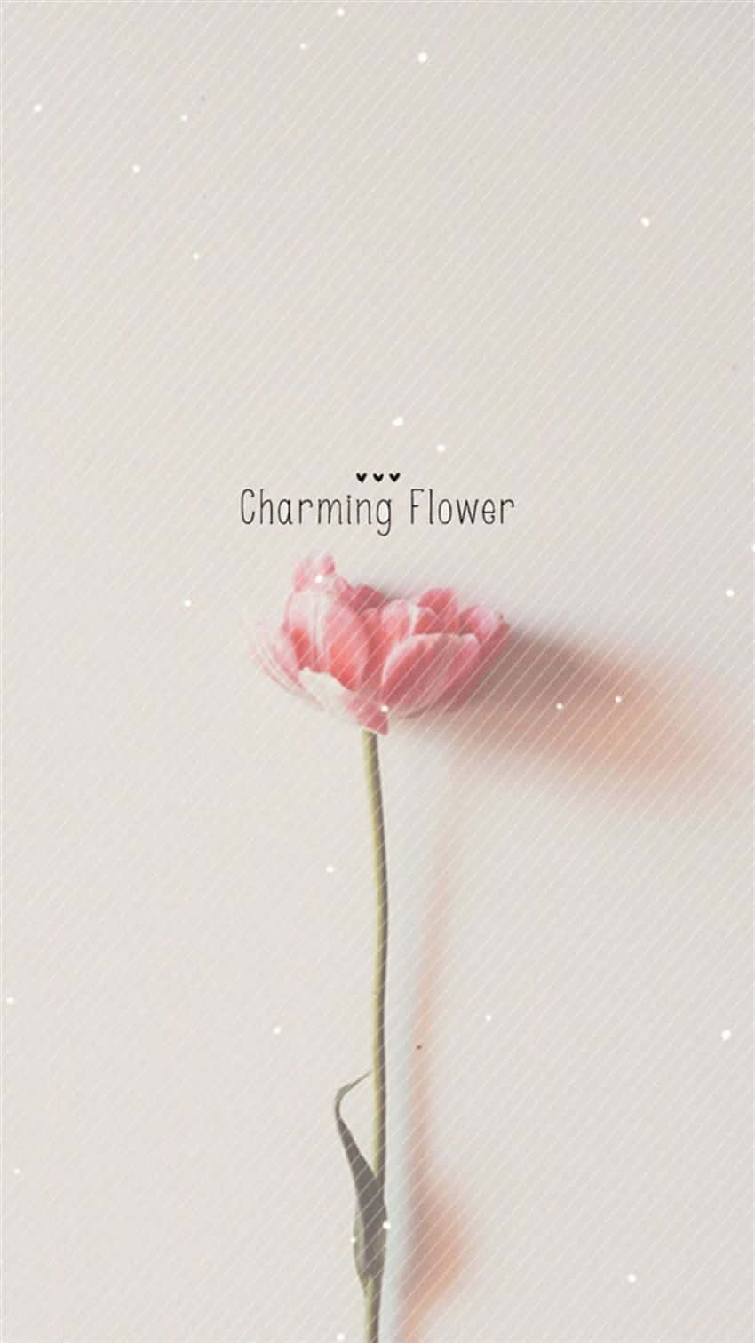 Simple Flower 桌布 壁紙 — 一朵精緻的粉紅色花朵，帶有纖細的莖，立在柔和的米色背景上，背景有微妙的斜線和漂浮的白色斑點。