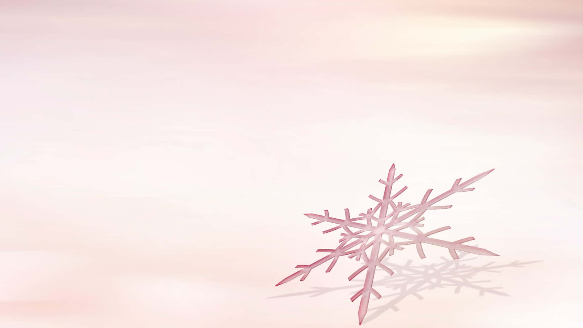 美學 桌布 壁紙 — 一朵精緻的粉紅色雪花落在柔和的漸變背景上，下方帶有微妙的陰影。