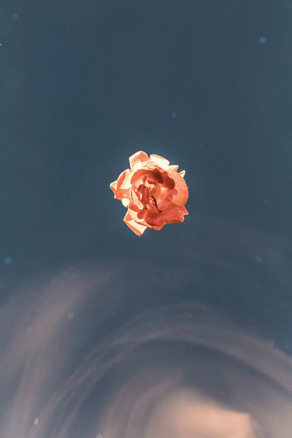 一朵漂浮的蜜桃玫瑰在藍色天空中，伴隨著旋轉的雲彩和散景光點。 — 復古美學 GIF 壁紙