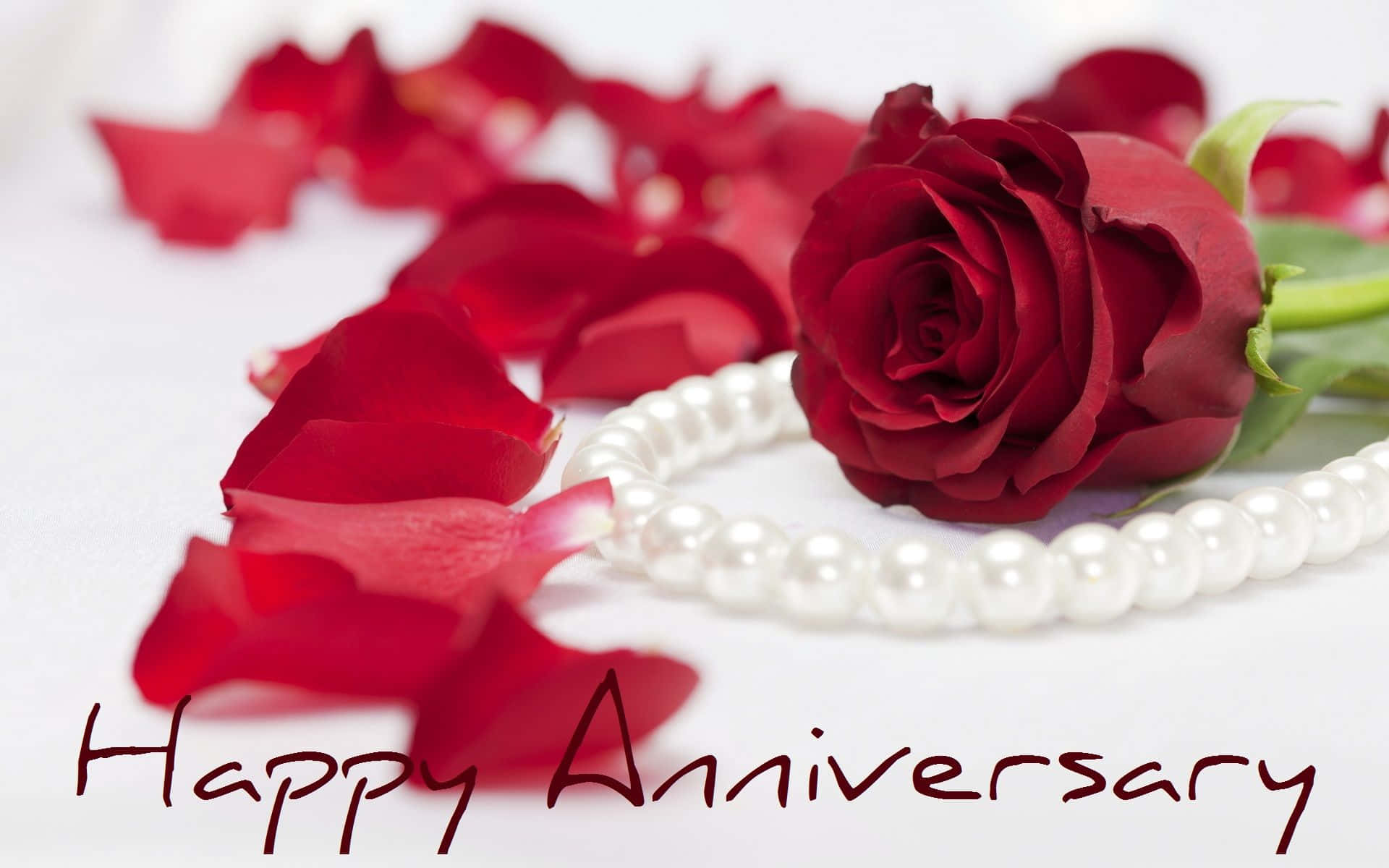 Anniversary 桌布 壁紙 — 一朵紅玫瑰和散落的花瓣放在白色背景上的珍珠項鍊旁邊，下方寫有「Happy Anniversary」字樣。