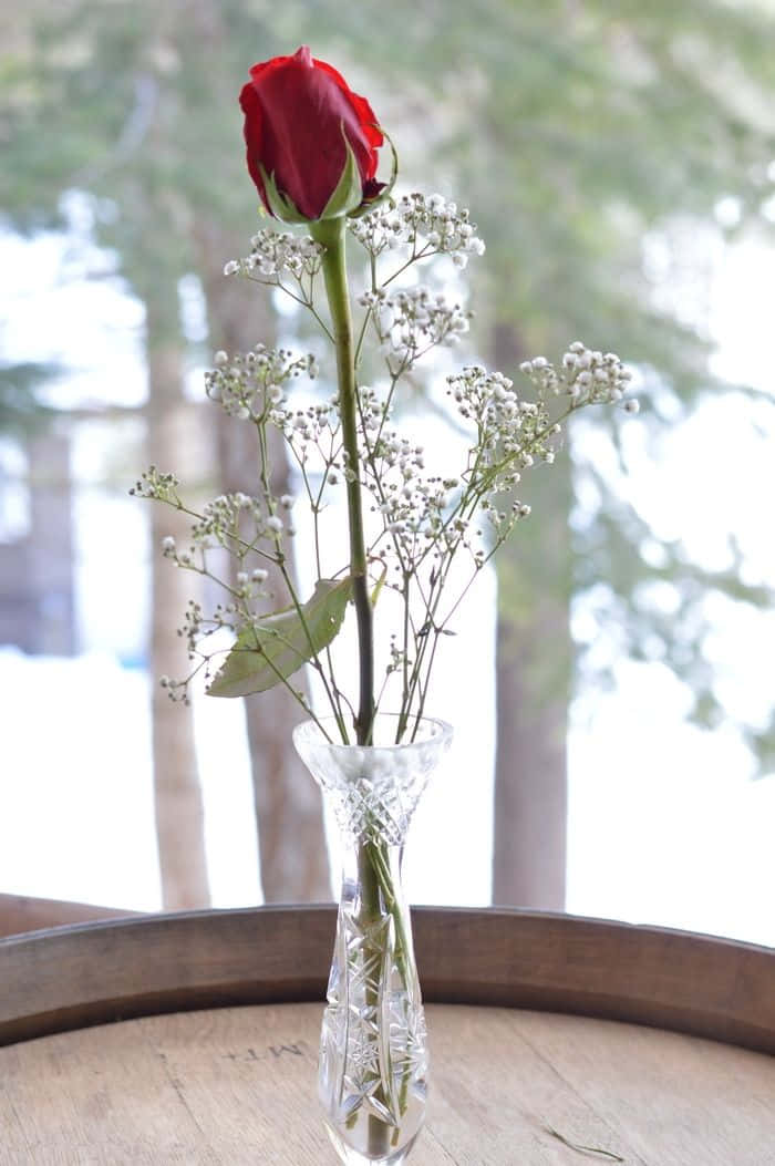 Single Rose 桌布 壁紙 — 一朵紅玫瑰和滿天星放在水晶花瓶裡，置於木桶上，背景是雪覆蓋的森林。