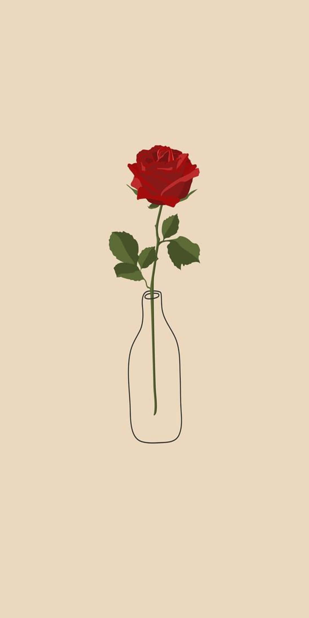 Pixel 3 Roses 桌布 壁紙 — 一朵紅玫瑰在簡約線條花瓶裡，背景是米色。