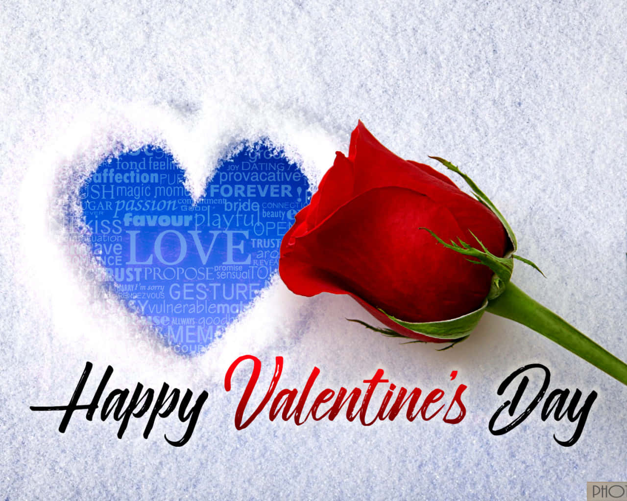 happy valentine's day 桌布 壁紙 — 一朵紅玫瑰放在一個心形雪堆旁邊，雪堆上充滿了愛情主題的文字，背景是雪地。