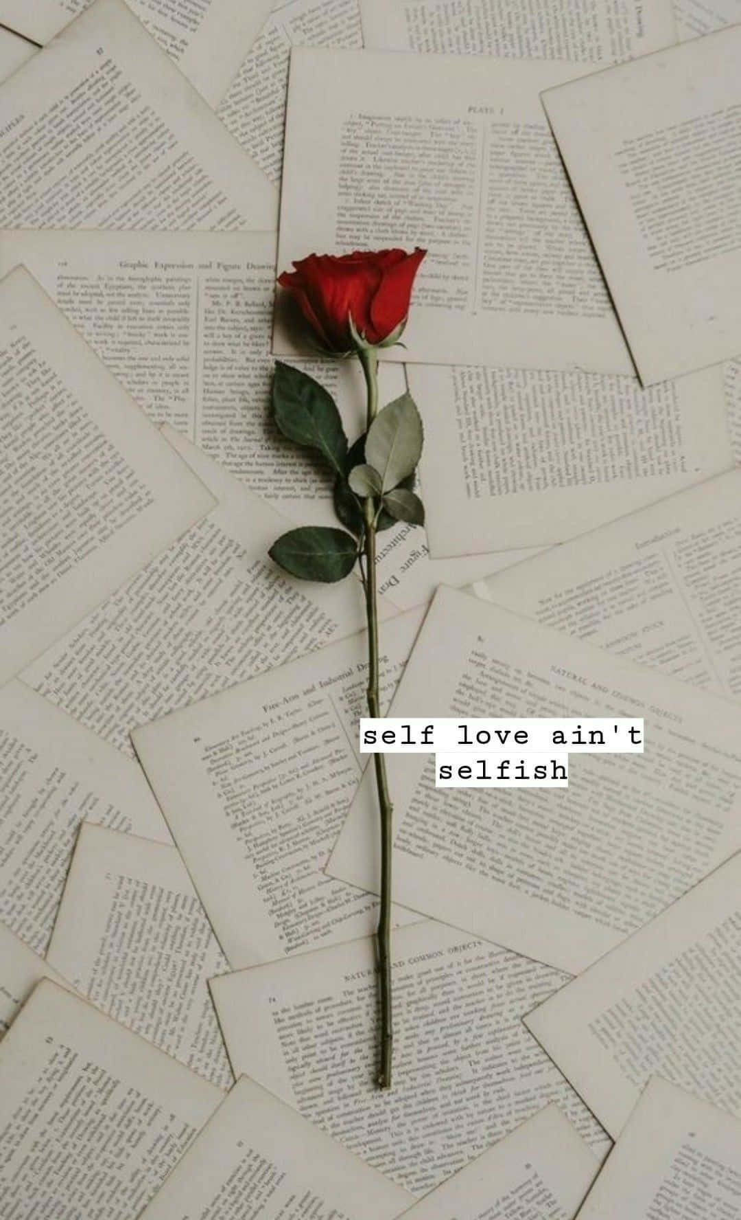 Selfish 桌布 壁紙 — 一朵紅玫瑰放在散落的復古書頁上，並疊加了文字 self love ain't selfish。