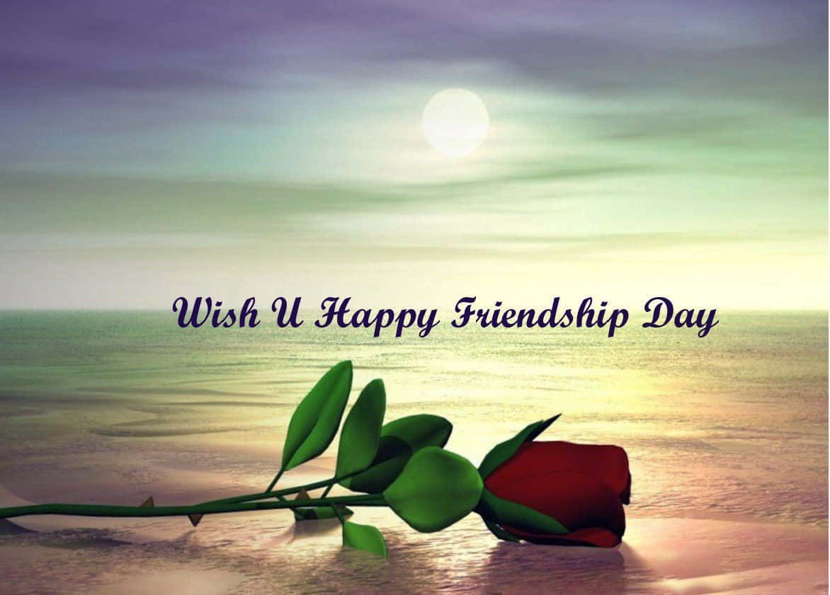 Friendship Day 桌布 壁紙 — 一朵紅玫瑰放在濕沙上，夕陽西下，平靜的海面上閃耀著太陽。