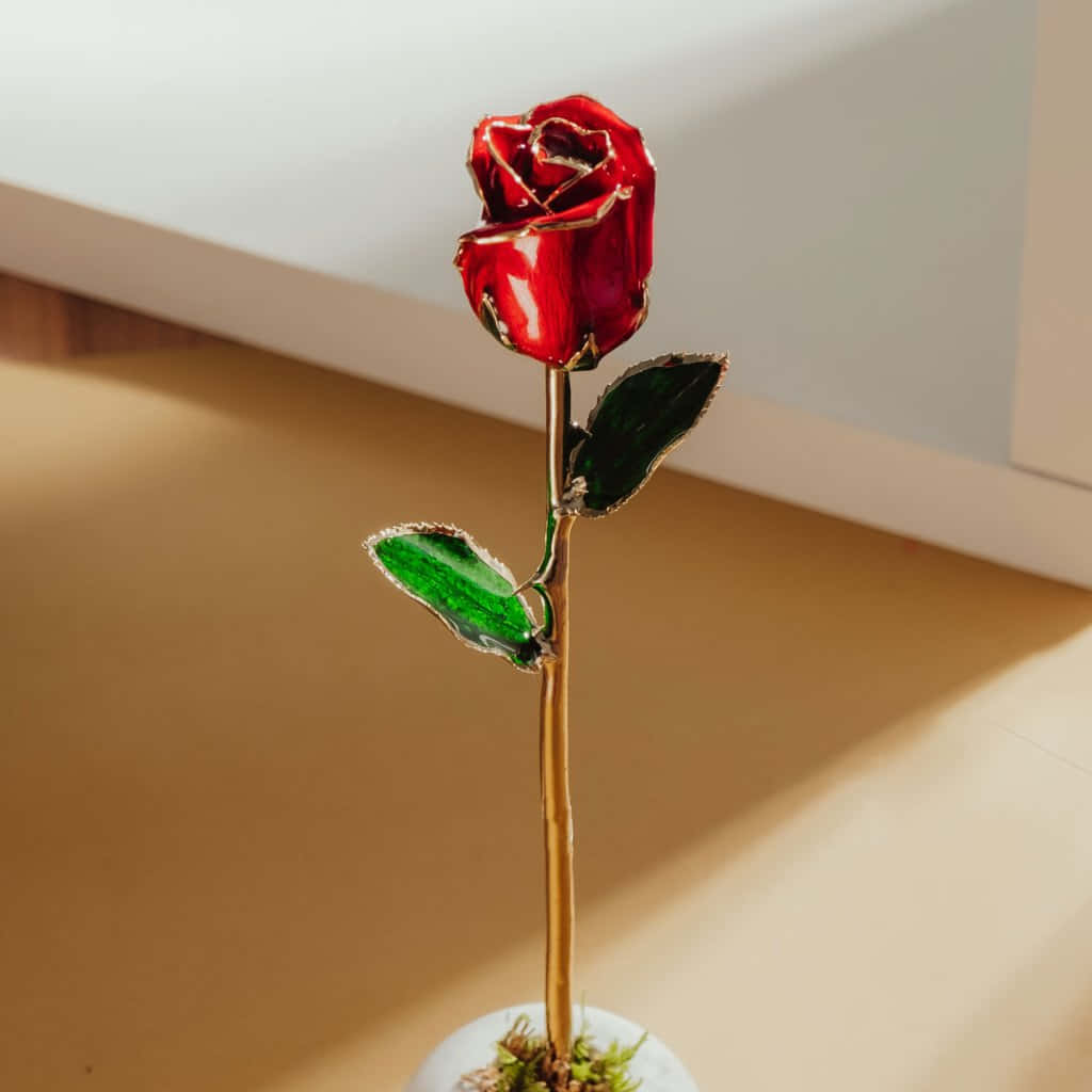 攝影 桌布 壁紙 — 一朵紅玻璃玫瑰，金色莖和綠葉，優雅地立在白色花瓶裡，放在溫暖的木地板上。
