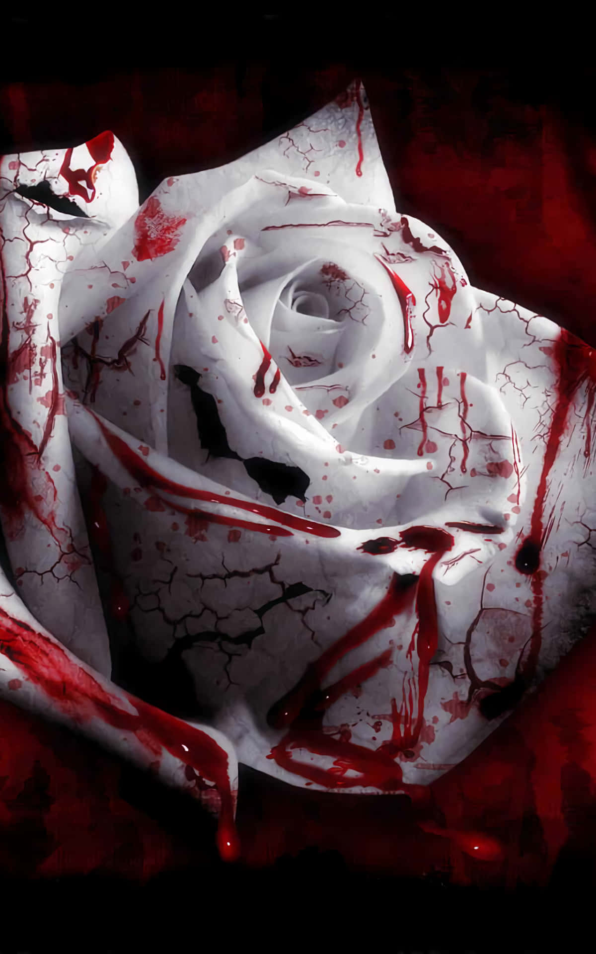 Blood Aesthetic 桌布 壁紙 — 一朵純淨的白玫瑰在深紅色紋理背景上被深紅色的血猛烈濺灑。