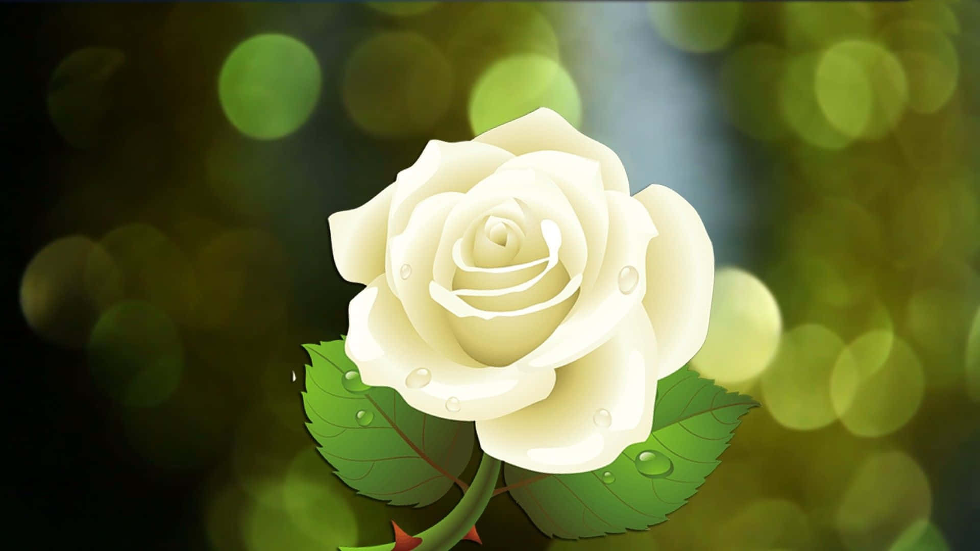 Rose Flower 桌布 壁紙 — 一朵純潔的白玫瑰，帶有露珠，在柔和的綠色散景背景下閃閃發光。