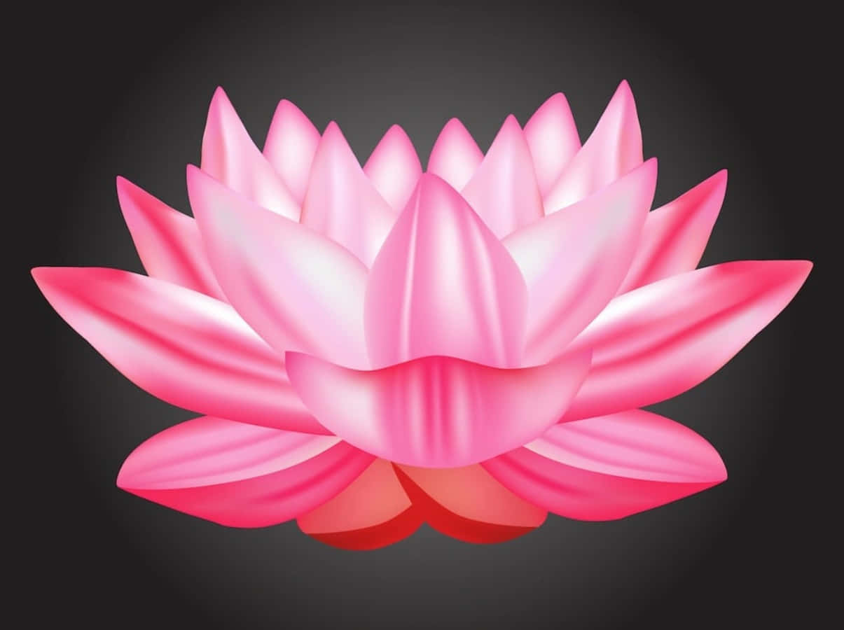 vector 桌布 壁紙 — 一朵豔麗的粉紅色蓮花在深色漸層背景上盛開，柔和的光線突顯其層層疊疊的花瓣。