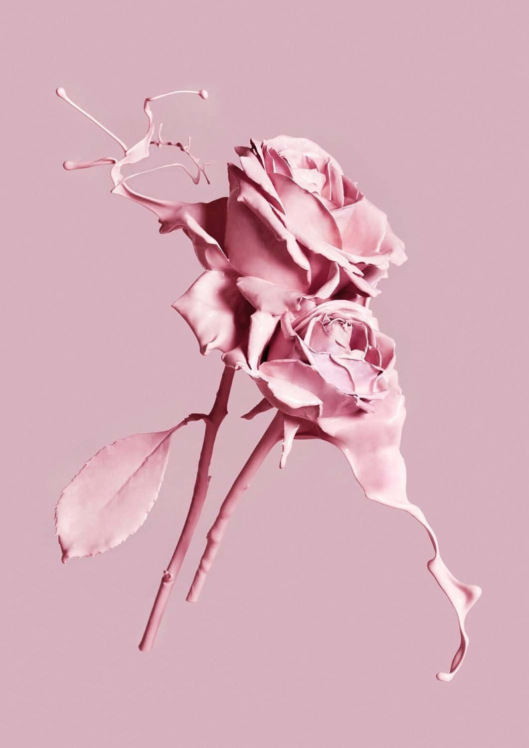 Aesthetic Rose 桌布 壁紙 — 一朵超現實的粉紅玫瑰，花瓣和莖在柔和的粉紅背景上融化。