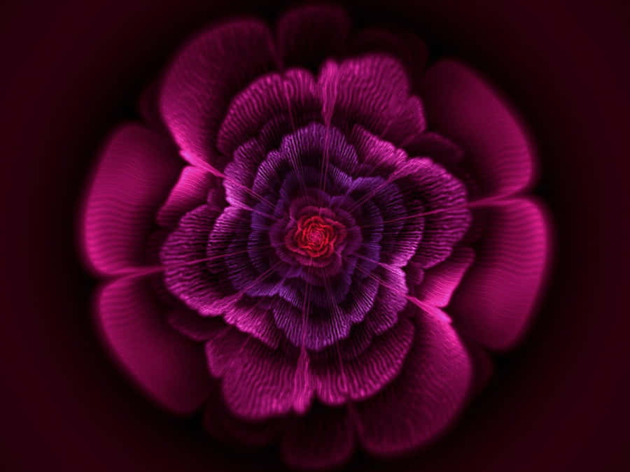 Blossom 桌布 壁紙 — 一朵迷人的數位花朵，在深色背景上，層層疊疊的洋紅色花瓣從發光的紅色核心向外輻射。