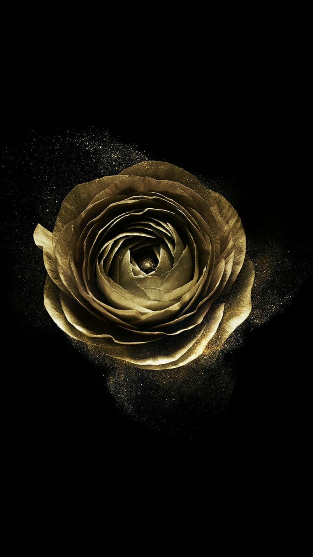 Black And Gold Aesthetic 桌布 壁紙 — 一朵金色玫瑰在黑色虛空中綻放，閃爍的粒子圍繞其花瓣旋轉。