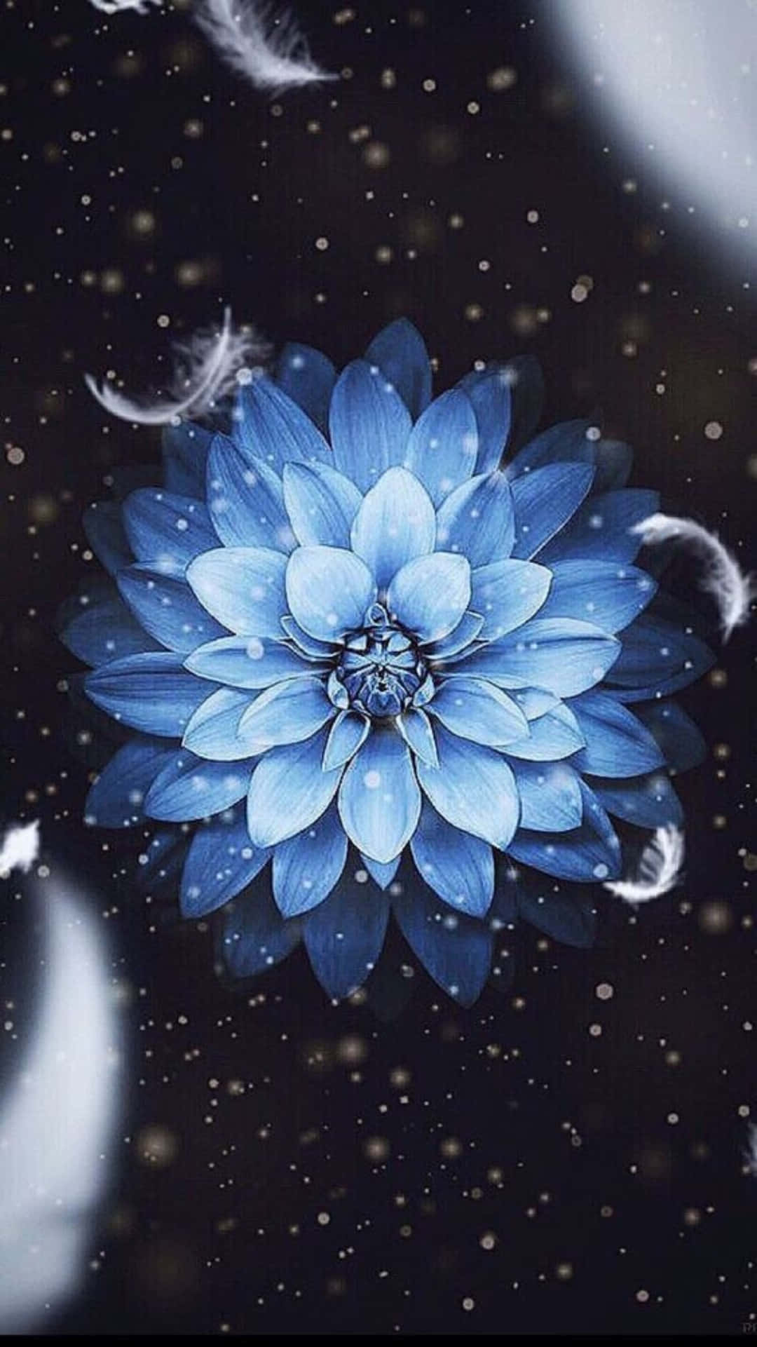 花 桌布 壁紙 — 一朵閃耀的藍色大麗花在星空和飄浮羽毛的宇宙背景下，於新月下綻放。