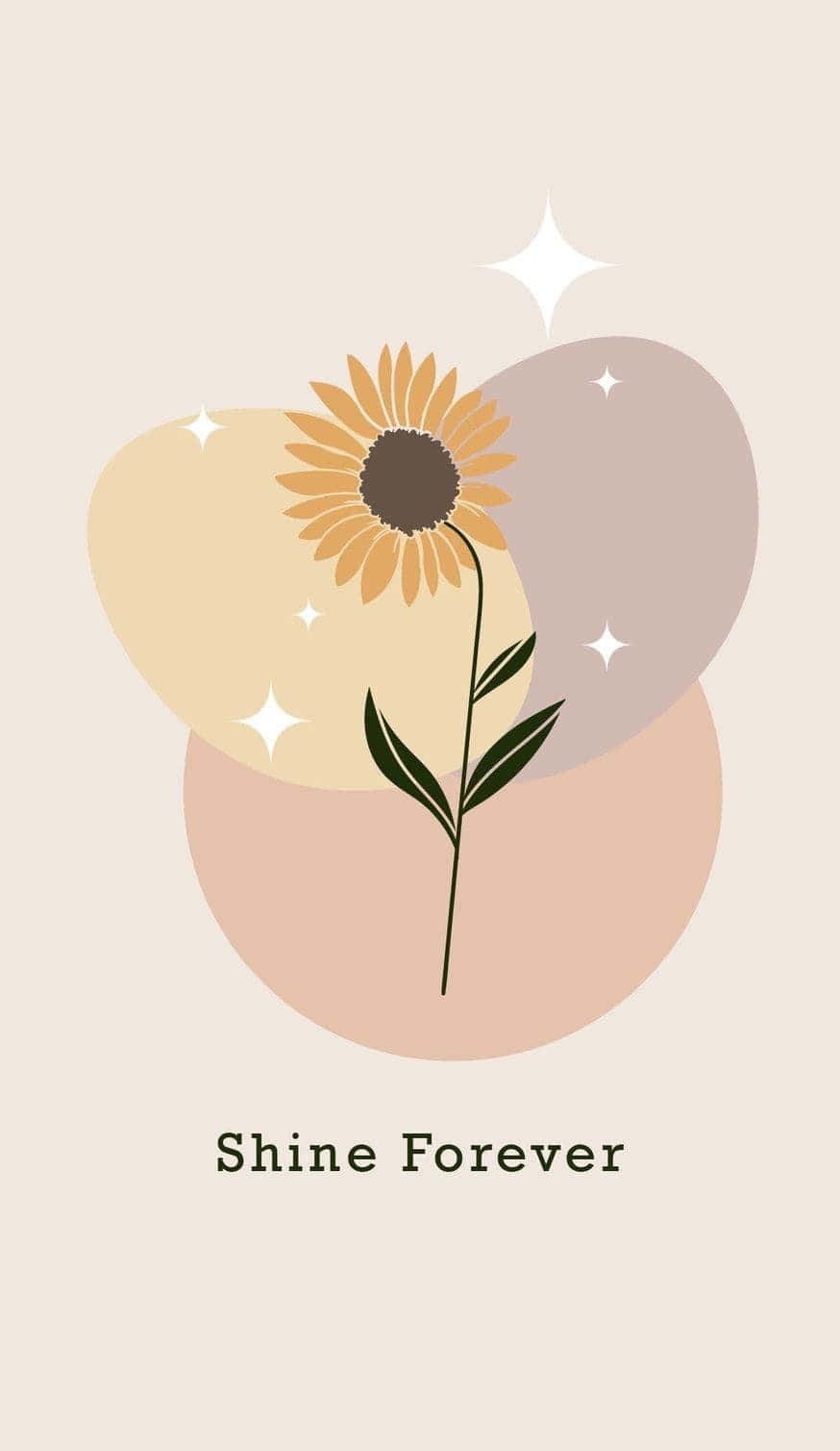 Sunflower Aesthetic iPhone 桌布 壁紙 — 一朵風格化的向日葵，金色花瓣和深色中心，立在柔和的粉彩圓圈和閃爍星星前。