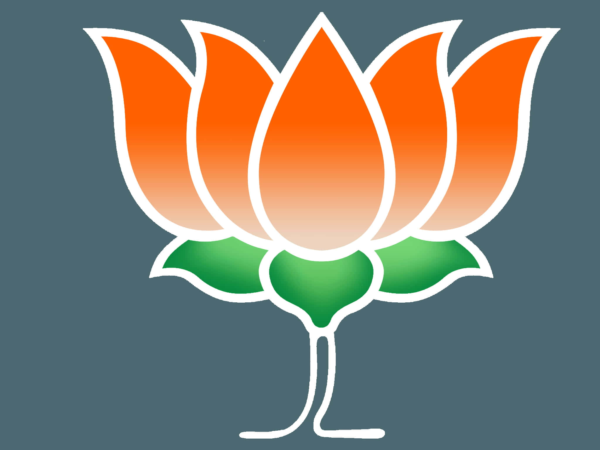 Bjp 桌布 壁紙 — 一朵風格化的橙色蓮花，帶有綠色葉子和白色輪廓，置於柔和的灰色背景上。