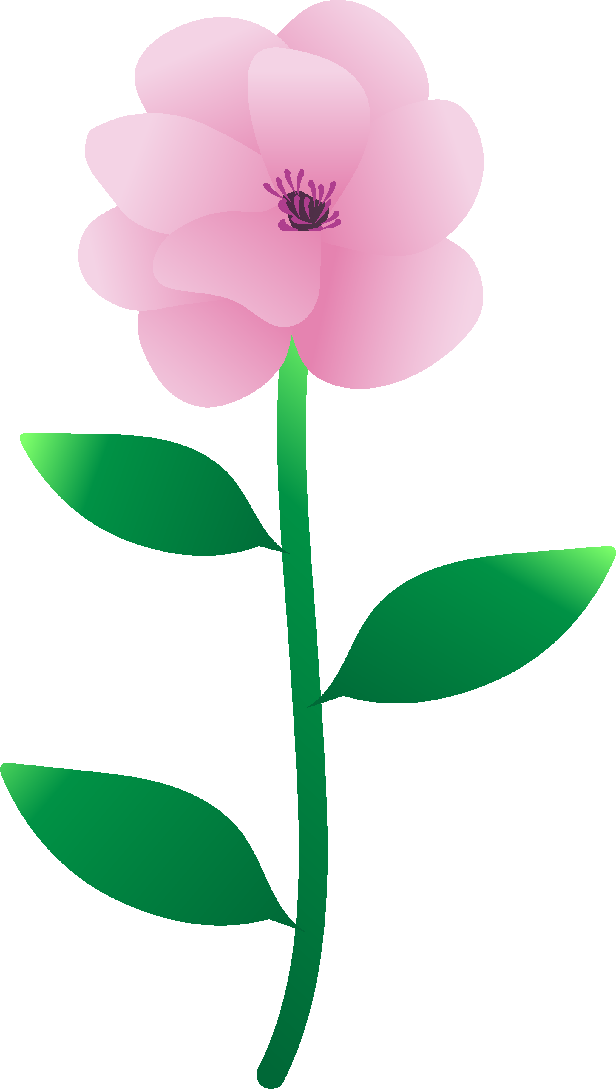 Peony 桌布 壁紙 — 一朵風格化的粉紅色花朵，帶有綠色莖和葉子，背景為純白色。
