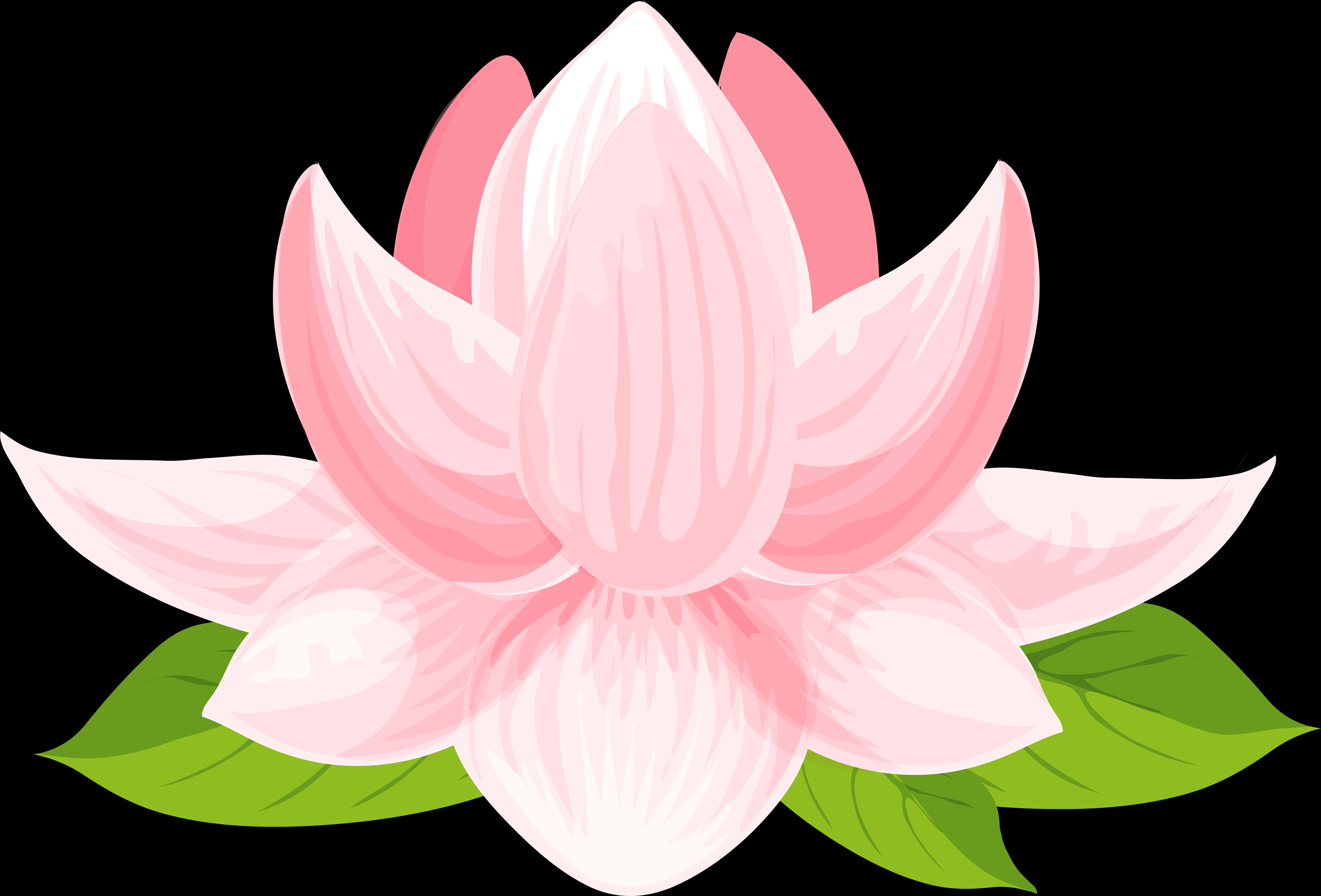 lotus 桌布 壁紙 — 一朵風格化的粉紅色蓮花，帶有綠色葉子，在純黑色背景上盛開。