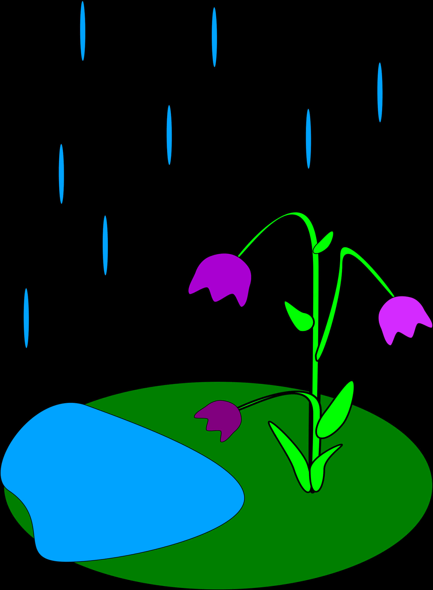 下雨 桌布 壁紙 — 一朵風格化的紫色花朵，帶有綠色莖，生長在藍色岩石旁邊的綠色斑塊上，在黑色背景下，藍色雨滴落下。