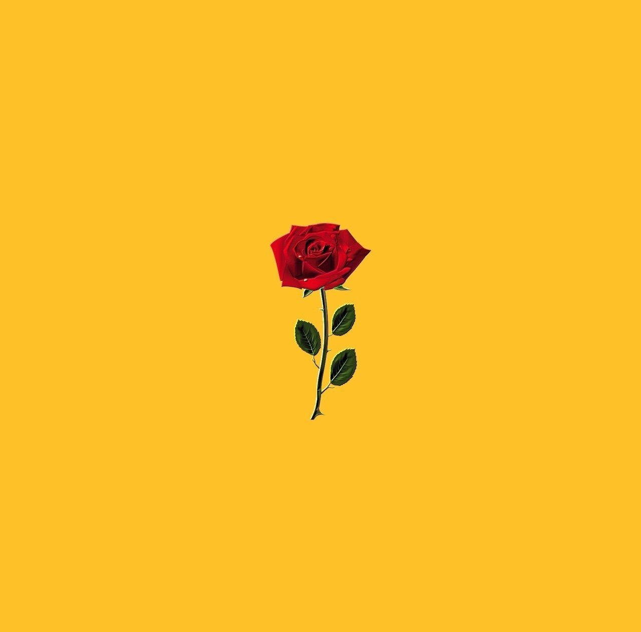 Rose Flower 桌布 壁紙 — 一朵鮮紅玫瑰，帶有綠葉，置中於純色暖黃色背景上。
