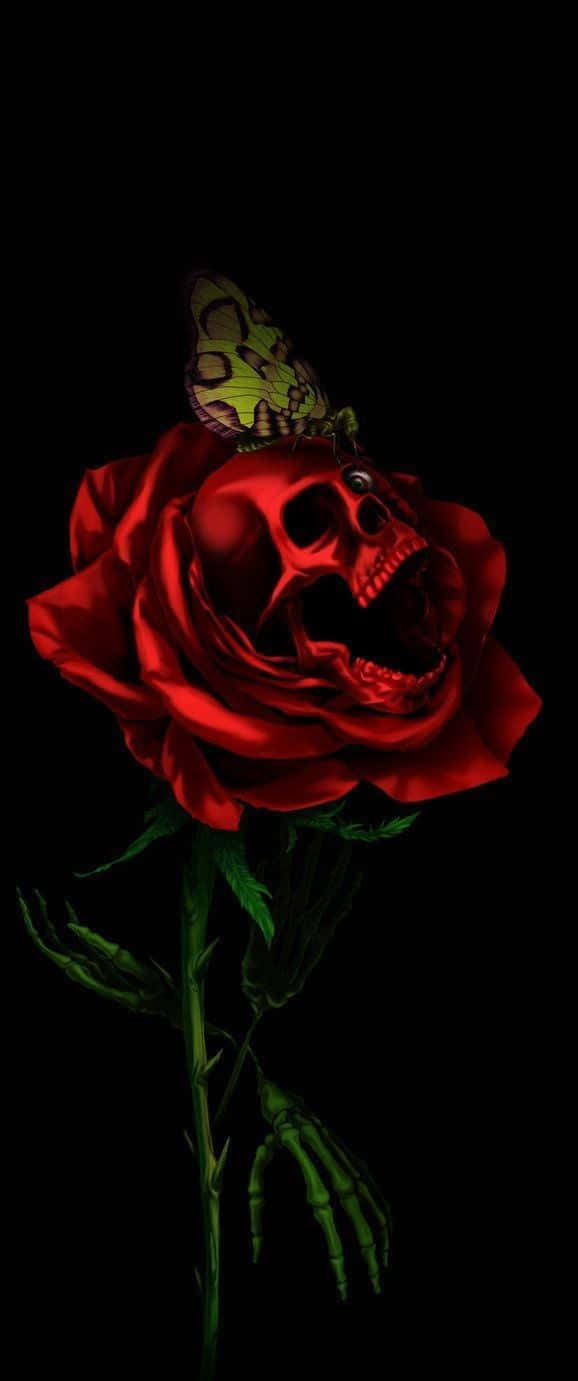 Skulls And Roses 桌布 壁紙 — 一朵鮮紅的玫瑰，中心有一個人類頭骨，頂部有一隻綠色蝴蝶棲息在黑色背景上。