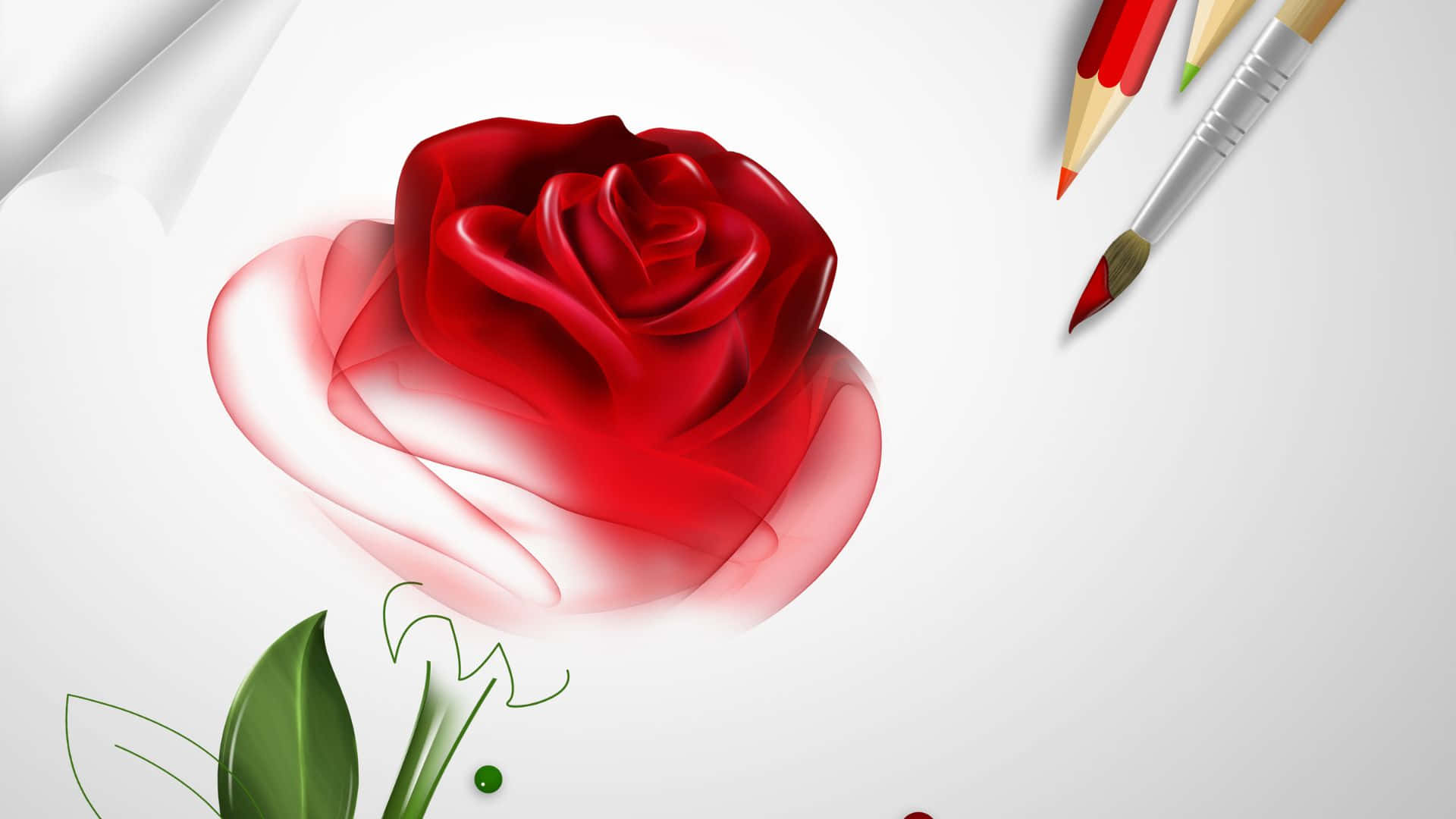 Rose Flower 桌布 壁紙 — 一朵鮮紅的玫瑰，帶有半透明的花瓣，漂浮在乾淨白色表面上的素描工具上方。
