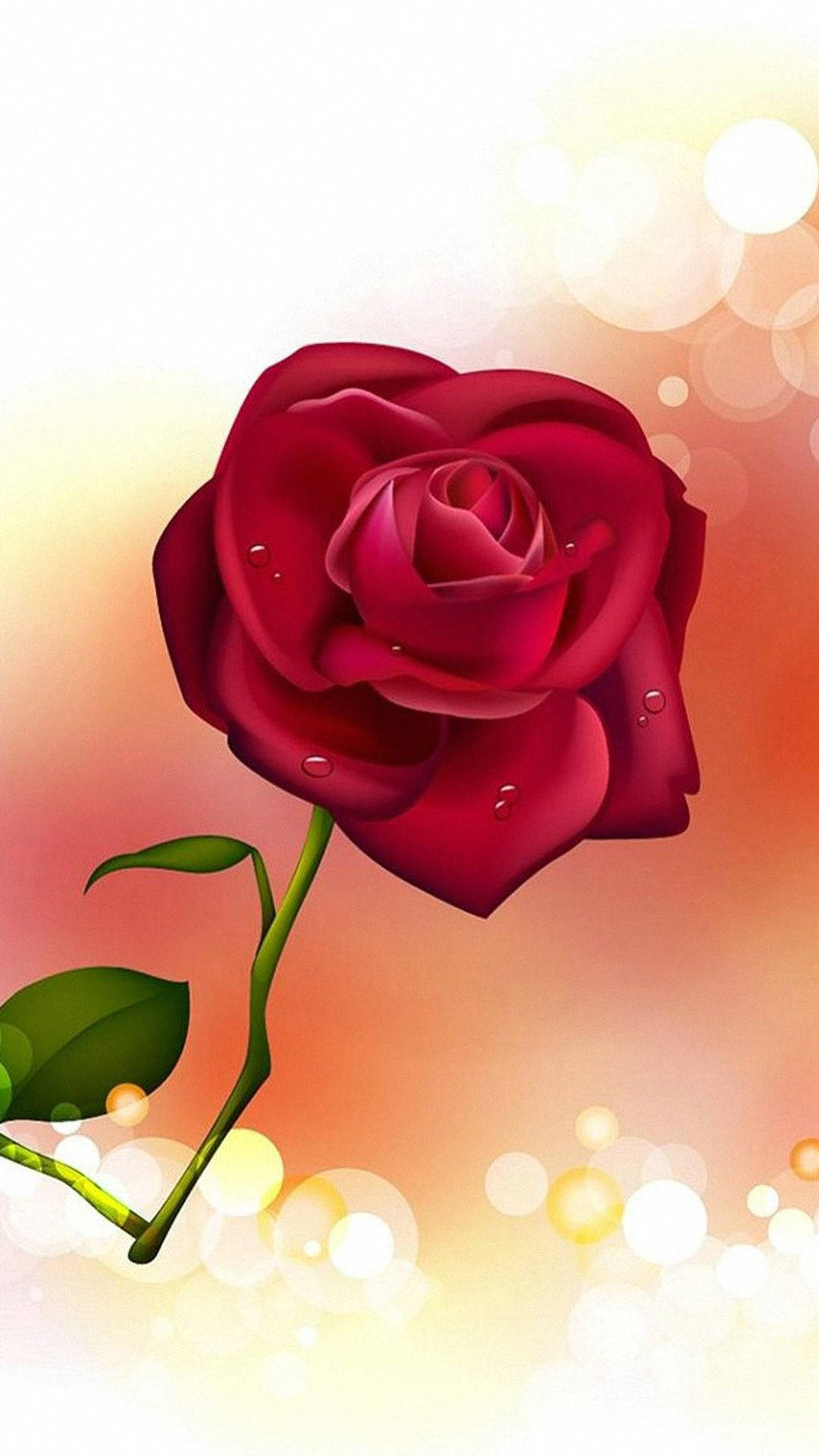 Roses Desktop 桌布 壁紙 — 一朵鮮紅的玫瑰，帶有露珠，在溫暖的散景背景下閃耀。