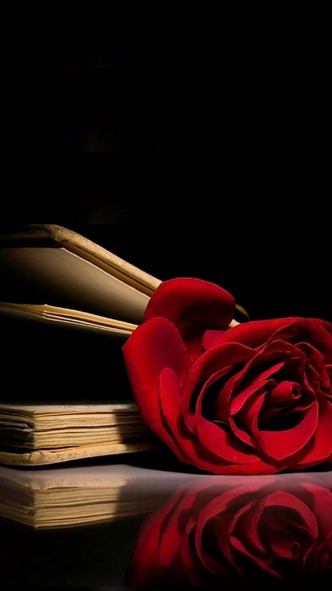 Bookmark 桌布 壁紙 — 一朵鮮紅的玫瑰放在打開的書本旁，置於反光表面上，背景為純黑色。
